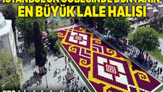 İstanbul'un göbeğinde dünyanın en büyük lale halısı