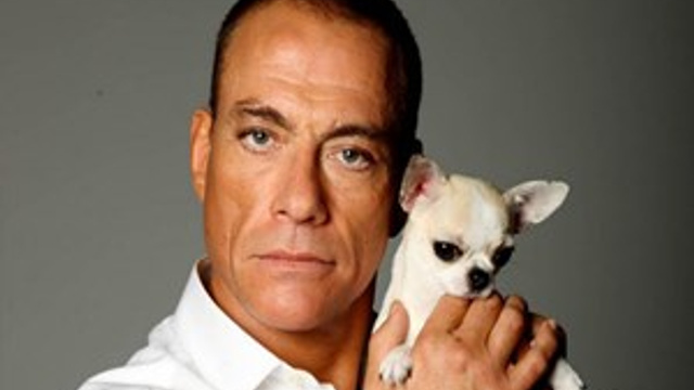 Van Damme'ın Bodrum'a neden geldiği ortaya çıktı