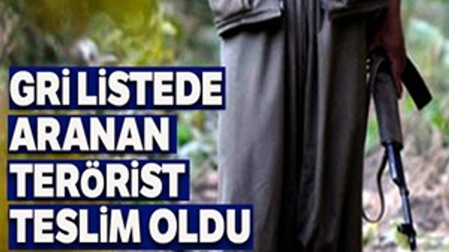 Gri listede aranan terörist teslim oldu