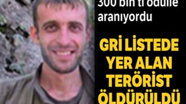 300 bin TL ödülle aranan terörist öldürüldü