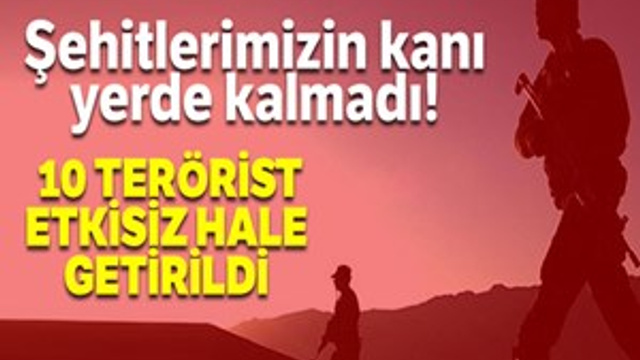Afrin'de 10 terörist etkisiz hale getirildi