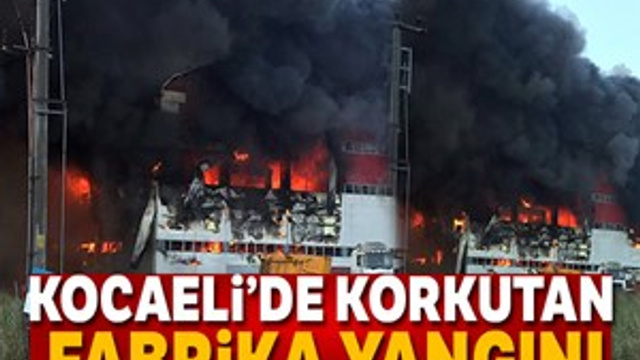 Kocaeli'nde fabrika alevlere teslim oldu