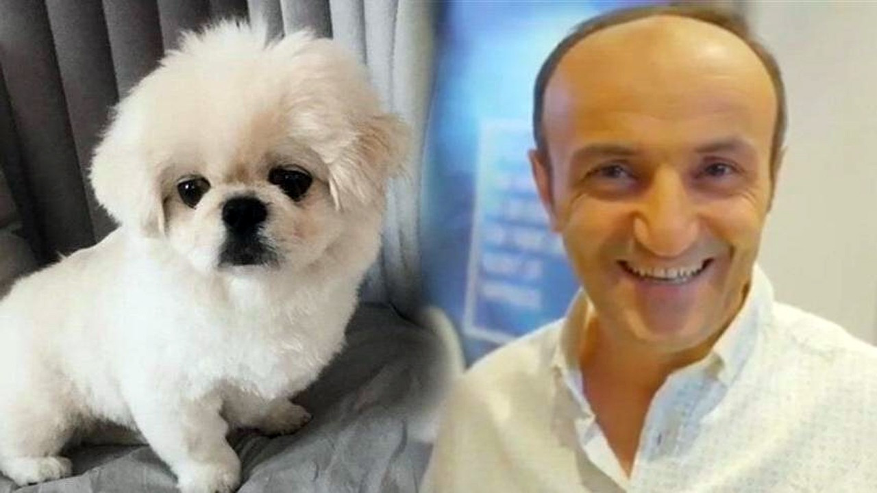 Ersin Korkut yeni köpeğinin fotoğrafını paylaşıp sordu