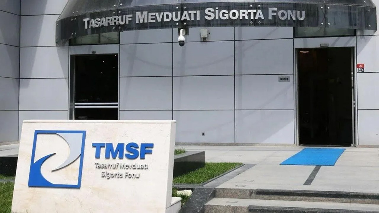 TMSF bir şirketi daha satışa çıkardı