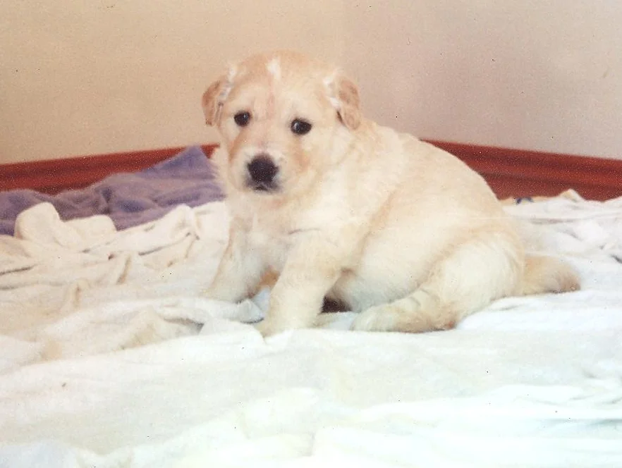 SACİT ASLAN NOSTALJİ 2